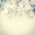 Vintage color flowers in soft and blur style on mulberry paper texture Royalty Free Stock Photo