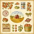 Vintage colorful apple harvest set Royalty Free Stock Photo