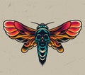 Vintage colorful flying death head moth Royalty Free Stock Photo