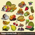 Vintage Colorful Fruits Collection Royalty Free Stock Photo