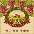 Vintage colorful grapes harvest label Royalty Free Stock Photo