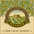 Vintage colorful olive harvest label