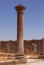Vintage column in the ruins of Volubilis in Berber-Roman city of Morocco