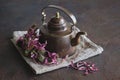 Vintage copper teapot of healthy echinacea tea and coneflower buds