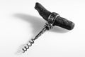 Vintage corkscrew for opening wine bottles on a white background Royalty Free Stock Photo