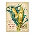 Vintage Corn Seed Packet