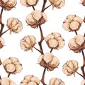 Vintage cotton flower plant sepia sketch seamless pattern texture background