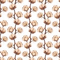 Vintage cotton flower plant sepia sketch seamless pattern texture background