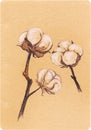 Vintage cotton sepia plant sketch craft paper
