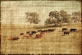 Vintage Cows Landscape