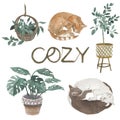 Vintage cozy home style. Cats and plants, watercolor illustration