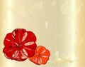 Vintage cracked card with hand drawn red poppies