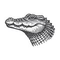 Vintage Crocodile Side Head Engraved Wildlife Vector Illustration. Royalty Free Stock Photo