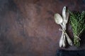 Vintage cutlery and herbs on rusty background Royalty Free Stock Photo