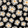 Vintage Daisy flowers seamless vector pattern. Distressed white Chamomile flowers on black background. Contemporary