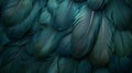 Vintage dark green viridian feather texture background