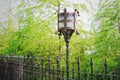 Vintage decorative electric street lamp behind iron fence in nat