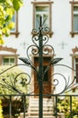 Vintage decorative iron gate detail