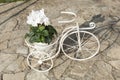 Vintage decorative metal bicycle flower-stand with flowers in house garden Royalty Free Stock Photo