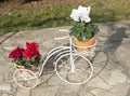 Vintage decorative metal bicycle flower-stand with flowers in house garden Royalty Free Stock Photo