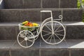 Vintage decorative metal bicycle flower-stand with flowers on stairs of a house Royalty Free Stock Photo