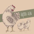 Vintage design with chickens. Happy Mothers day.