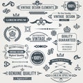Vintage design elements Royalty Free Stock Photo