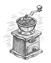 Retro coffee grinder with coffee beans. Vintage device for preparing coffee drink. Hand drawn illustration sketch Royalty Free Stock Photo