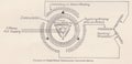 Vintage illustration diagram of three phase compensated induction motor.