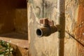 Vintage Dirty Plastic Water Faucet with PVC Valve - Old Concrete Texture -Sunny Warm Day in Home Garden Royalty Free Stock Photo