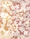 Vintage Distressed Floral Element Royalty Free Stock Photo