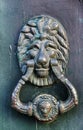 Vintage door knocker on green wooden door