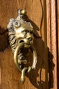 Vintage door knocker - lion head with snake