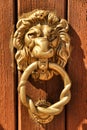 Vintage door knocker lion shaped on brown wooden door Royalty Free Stock Photo