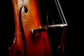 Vintage double bass