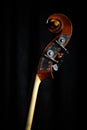 Vintage double bass head Royalty Free Stock Photo