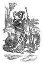 Vintage Drawing of Biblical Story of Jesus as Good Shepherd Who Cares about His Sheep. Man Holding Sheep.Bible, New