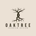 vintage dry oak tree logo vector illustration design Royalty Free Stock Photo