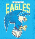 Vintage eagle mascot