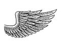 Vintage eagle wing template