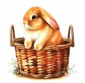 Vintage easter bunny in a baske isolated on white background watercolor hand drawn illustration