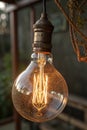 Vintage edison light bulb glowing warmly in a rustic setting with soft ambient light Royalty Free Stock Photo