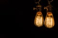 Vintage Edison Light Bulbs hanging against a black background