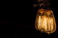 Vintage Edison Light Bulbs hanging against a black background