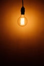 vintage electric bulb lamp Royalty Free Stock Photo