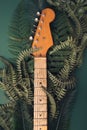 Vintage electric guitar neck with leaves and branches behind. Royalty Free Stock Photo