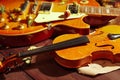 Vintage electric guitar, rare violin, dried flowers and rare notes closeup. Selective focus Royalty Free Stock Photo