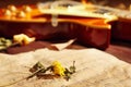 Vintage electric jazz guitar, dried flowers and old sheet music closeup