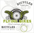 Vintage elements with Bicycle label set template. Royalty Free Stock Photo
