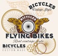 Vintage elements with Bicycle label set template. Royalty Free Stock Photo